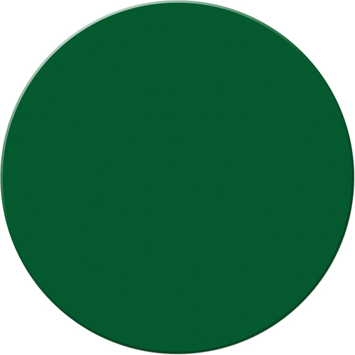 Armor Stripe Lean/5S Markers, Circle, 6" L x 6" W, Green, Plastic Planification Entrepots Molloy