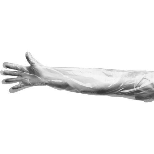 Gants jetables, Grand, Poly&eacute;thyl&egrave;ne, 9 mils, Poudr&eacute;s, Transparent Planification Entrepots Molloy
