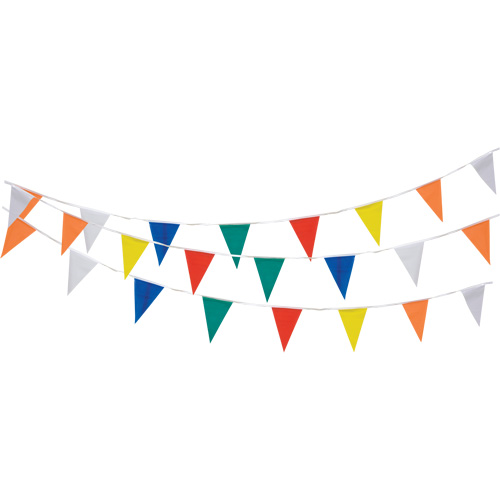 Pennant String, 60' L, Multicolour Planification Entrepots Molloy