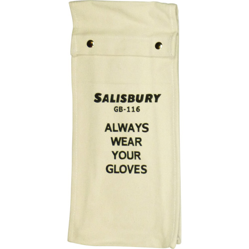 Salisbury  Glove Bag Planification Entrepots Molloy