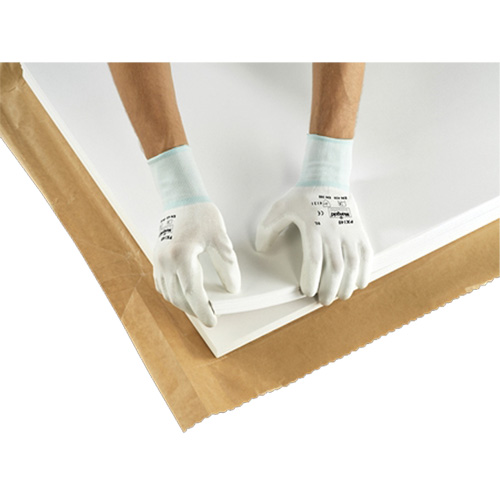 PX140 Coated Gloves, 6/X-Small, Polyurethane Coating, 15 Gauge, Nylon Shell Planification Entrepots Molloy