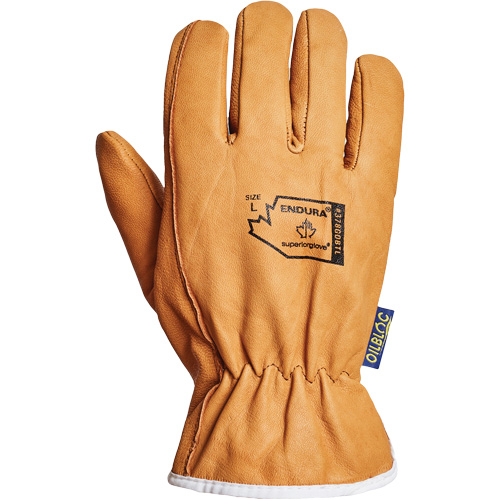 Gants de conducteur Endura, Petit, Paume en Cuir fleur de ch&egrave;vre, Thinsulate Planification Entrepots Molloy