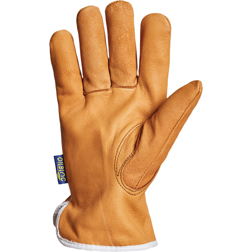 Gants de conducteur Endura, Petit, Paume en Cuir fleur de ch&egrave;vre, Thinsulate Planification Entrepots Molloy