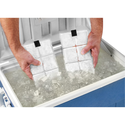 Sachets pour veste de refroidissement &agrave; changement de phase 6260 Chill-Its Planification Entrepots Molloy