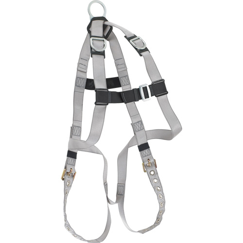 Dynamic B-Compliant Economy Harness, CSA Certified, Class AE, 310 lbs. Cap. Planification Entrepots Molloy