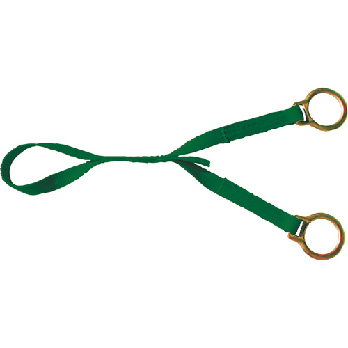 Extension avec anneau en D double, Anneau en D, Usage Temporaire Planification Entrepots Molloy