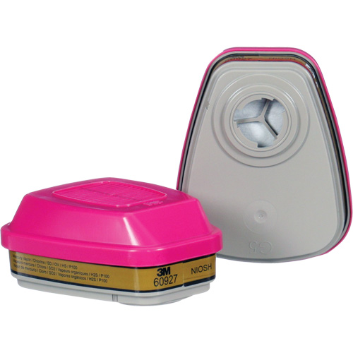 Cartouche, Combinaison cartouche et filtre contre les particules pour gaz/vapeurs, Gaz multiples/Vapeurs/P100 Planification Entrepots Molloy