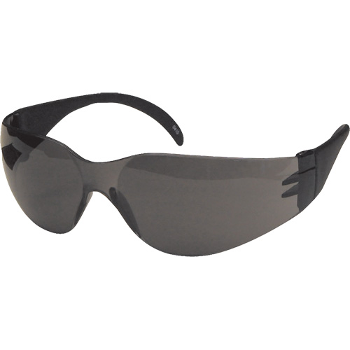 Lunettes de s&eacute;curit&eacute; CeeTec, Lentille Gris, Anti-&eacute;gratignures, R&eacute;pond ou surpasse la norme CSA Z94.3 Planification Entrepots Molloy