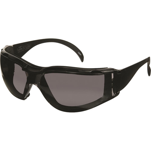 CeeTec DX Safety Glasses, Grey Lens, Anti-Fog/Anti-Scratch, Meets/Exceeds CSA Z94.3 Planification Entrepots Molloy