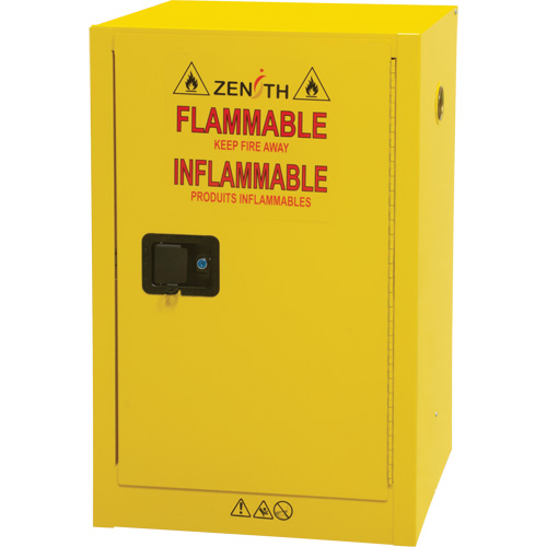 Armoire de rangement pour a&eacute;rosols inflammables, 12 gal., 1 Porte(s), 23" La x 35" h x 18" p Planification Entrepots Molloy