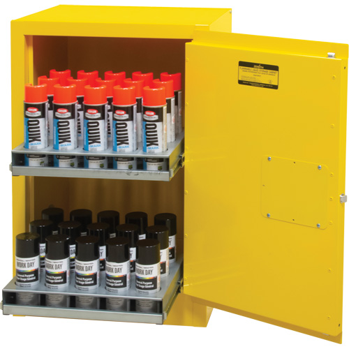 Armoire de rangement pour a&eacute;rosols inflammables, 12 gal., 1 Porte(s), 23" La x 35" h x 18" p Planification Entrepots Molloy