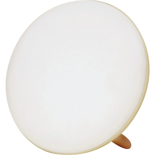 Lampe &agrave; luminoth&eacute;rapie pour le traitement de la d&eacute;pression saisonni&egrave;re Planification Entrepots Molloy