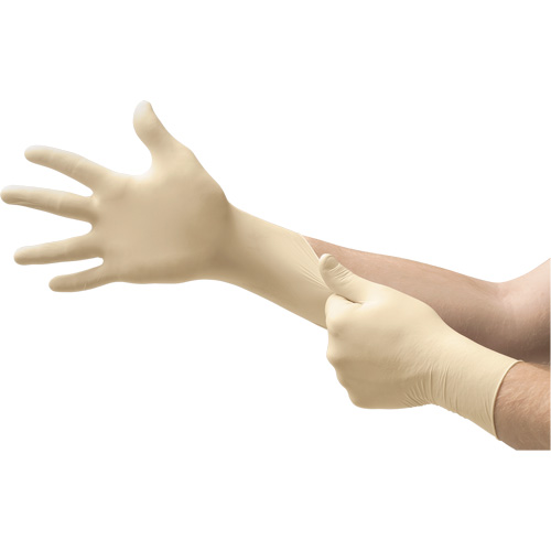 Microflex&reg; L56 Gloves, Medium, Latex, 5.1-mil, Powder-Free, Natural Planification Entrepots Molloy
