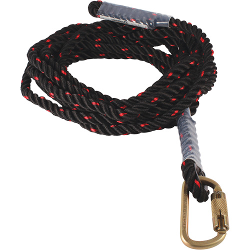 Dynamic Vertical Rope Lifeline with Carabiner Planification Entrepots Molloy