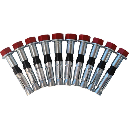Replacement Bolt Kit for Concrete D-Ring Anchors, Bolt-On, Permanent/Temporary Use Planification Entrepots Molloy