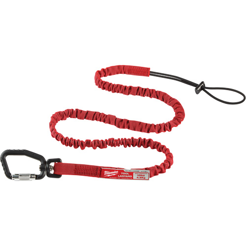 Longe verrouillable pour outils &agrave; port&eacute;e &eacute;tendue, Tendeur, Mousqueton/boucle Planification Entrepots Molloy