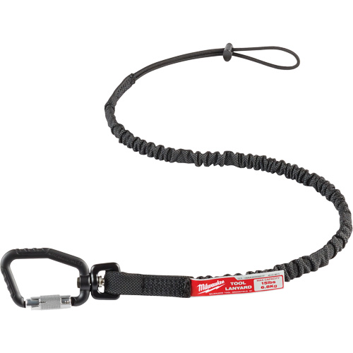 Longe verrouillable pour outils, Tendeur, Mousqueton/boucle Planification Entrepots Molloy