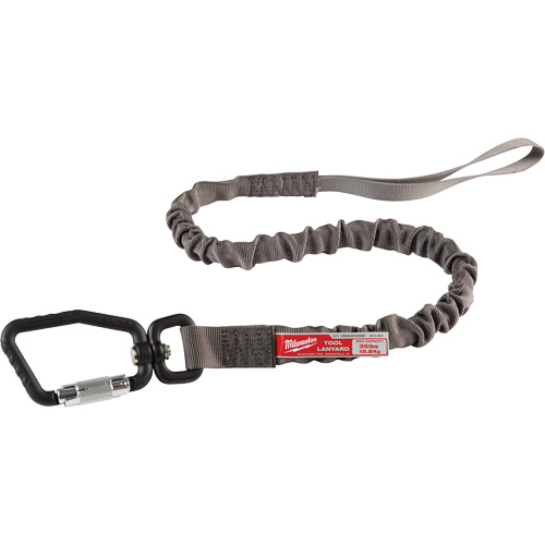 Locking Tool Lanyard, Bungee, Carabiner/Loop Planification Entrepots Molloy