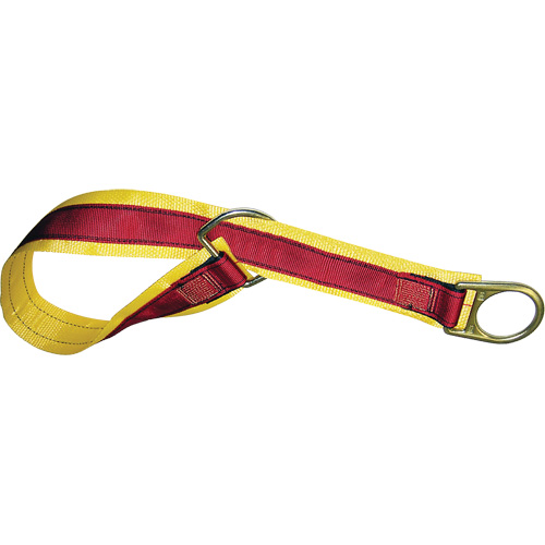 4' Anchorage Connector Strap, D-Ring, Temporary Use Planification Entrepots Molloy