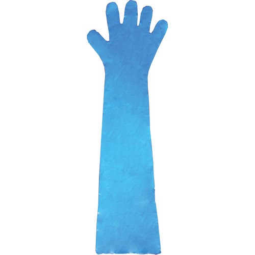 Disposable Gloves, Polyethylene, Powder-Free, Blue Planification Entrepots Molloy