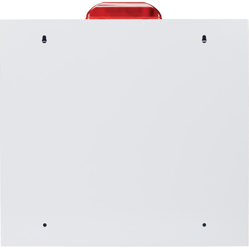 Standard Large AED Cabinet with Alarm & Strobe, Zoll AED Plus&reg;/Zoll AED 3/Cardio-Science/Physio-Control For, Non-Medical Planification Entrepots Molloy