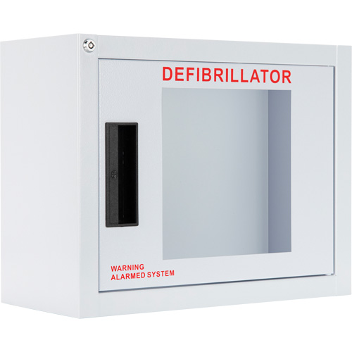 Armoire compacte standard pour DEA avec alarme, Philips/Defibtech/Heartsine Pour, Non m&eacute;dical Planification Entrepots Molloy