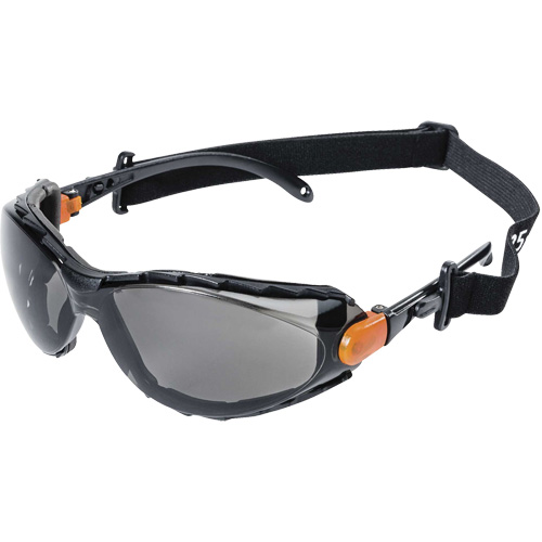 XPS502 Sealed Safety Glasses, Smoke Lens, Anti-Fog/Anti-Scratch Planification Entrepots Molloy