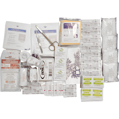 Trousse de premiers soins de base et recharge Shield, R&eacute;pond &agrave; la norme CSA Z1220-17 type 2 environnements &agrave; faible risque, Petit (2-25 travailleurs) Planification Entrepots Molloy