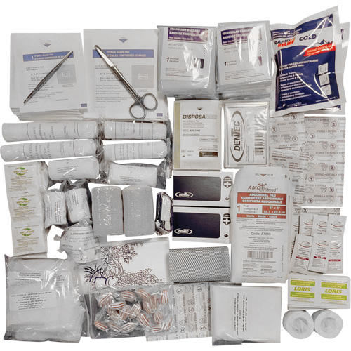 Trousse de premiers soins de interm&eacute;diaire et recharge Shield, R&eacute;pond &agrave; la norme CSA Z1220-17 type 3 environnements &agrave; haut risque, Moyen (26-50 travailleurs) Planification Entrepots Molloy