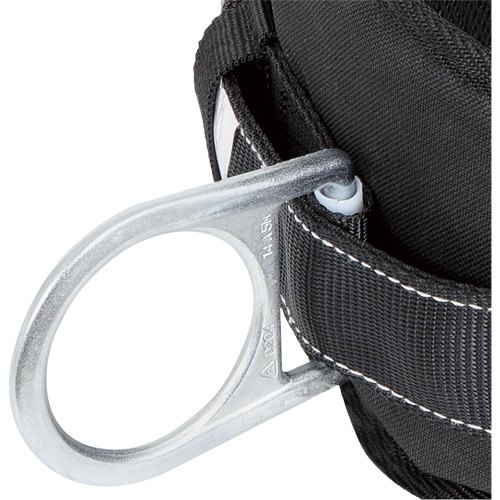 WB-6020-XXL Dispositif de retenue de s&eacute;curit&eacute; avec ceinture &agrave; deux anneaux en D et support lombaire rembourr&eacute; - 2T-grand Planification Entrepots Molloy