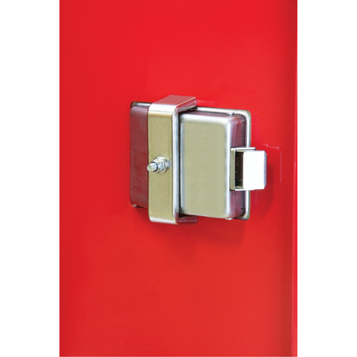 Heavy-Duty Outdoor Fire Extinguisher Cabinet, 14" W x 28" H x 10" D Planification Entrepots Molloy