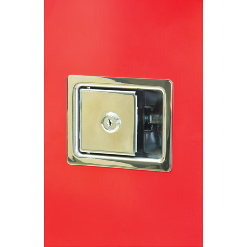 Heavy-Duty Outdoor Fire Extinguisher Cabinet, 14" W x 28" H x 10" D Planification Entrepots Molloy