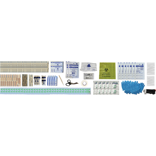 Shield First Aid Kit, Meets/Exceeds CSA Z1220-24 Type 2 Low-Risk Environment, Medium (26-50 Workers) Planification Entrepots Molloy