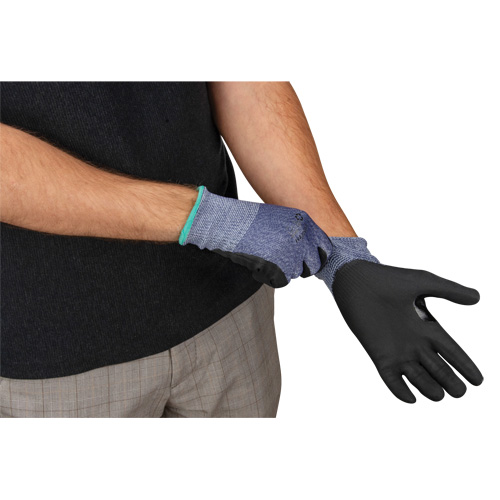 Cut-Resistant Gloves, Size Small, 15 Gauge, Foam Nitrile Coated, HPPE Shell, ASTM ANSI Level A3 Planification Entrepots Molloy