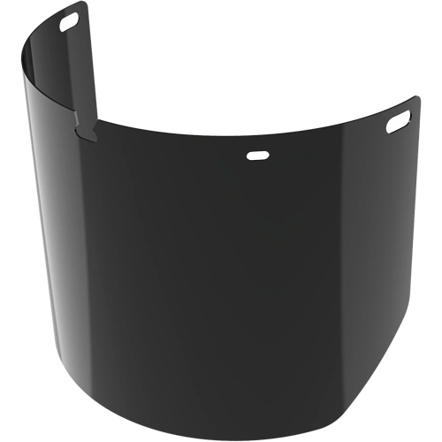 Lentille de rechange pour visi&egrave;re compl&egrave;te sans rev&ecirc;tement, Polycarbonate, Teinte 5,0 Planification Entrepots Molloy