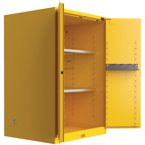 Armoire de s&eacute;curit&eacute; pour produits inflammables Utili-Guard+, 90 gal., 2 Porte(s), 43" La x 65" h x 37" p Planification Entrepots Molloy