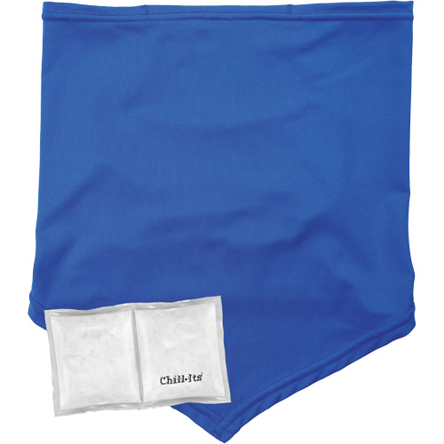 Chill-Its 6482 Cooling Neck Gaiter Bandana with Rechargeable Phase Change Packs, Small/Medium, Blue Planification Entrepots Molloy