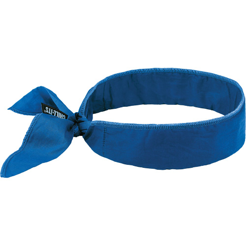 Chill-Its 6702 Cooling Headband with Embedded Polymers & Tie Closure, Blue Planification Entrepots Molloy