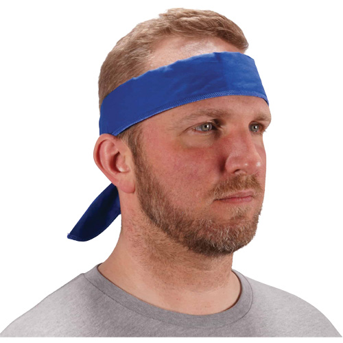 Chill-Its 6702 Cooling Headband with Embedded Polymers & Tie Closure, Blue Planification Entrepots Molloy