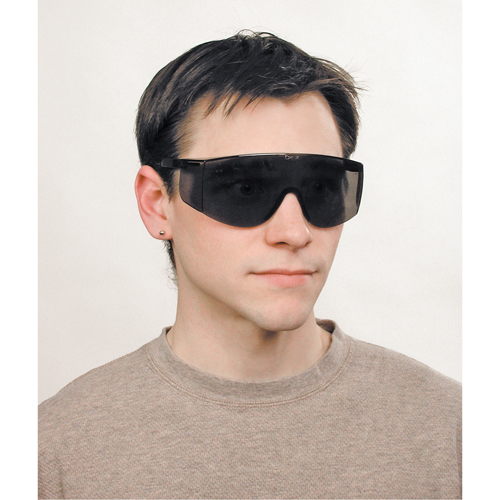 Lunettes de s&eacute;curit&eacute; Tacoma, Lentille Grise/fum&eacute;e, Anti-&eacute;gratignures, ANSI Z87+ Planification Entrepots Molloy