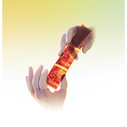 QRP&reg; Low Powder Latex Finger Cots Planification Entrepots Molloy