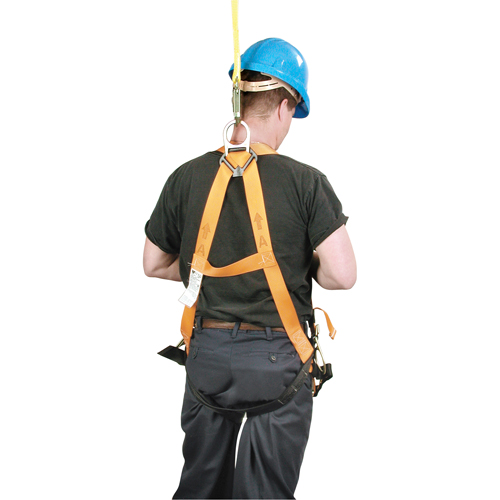 Miller&reg; Titan Contractor's Harnesses, CSA Certified, Class AP, 400 lbs. Cap. Planification Entrepots Molloy