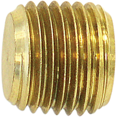 Pipe Plug (Counter Sunk Hex Head), 1/4" Dia., Brass Planification Entrepots Molloy