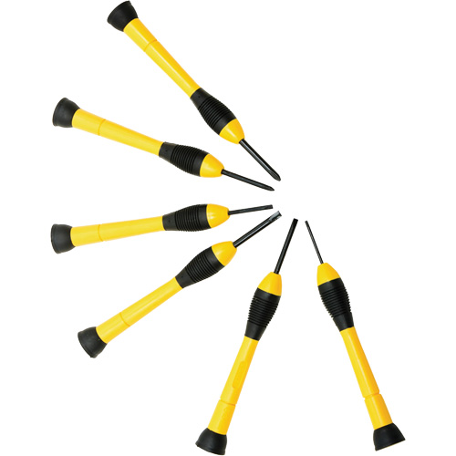 Precision Screwdriver Set, 6 Pcs. Planification Entrepots Molloy