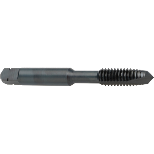 Spiral Point Tap, High Speed Cobalt, 8-32 Thread, 2-1/8" L Planification Entrepots Molloy