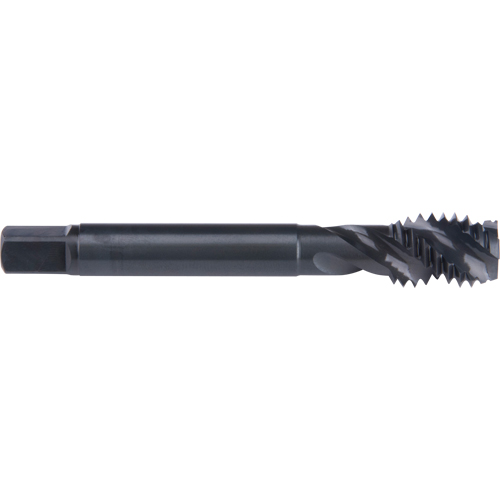 45° Spiral Flute Tap, High Speed Cobalt, 7/8"-9 Thread, 4-11/16" L Planification Entrepots Molloy