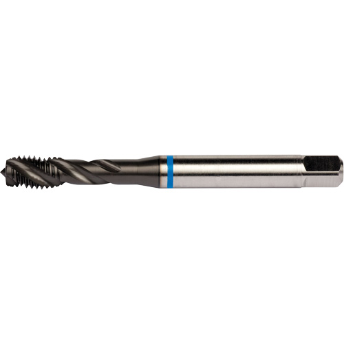 Taraud &agrave; cannelures h&eacute;licoidales Blue Shark, Acier rapide au cobalt, Filet de 1/4"-28, 3,15" l Planification Entrepots Molloy