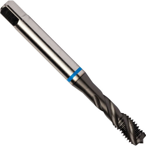 Taraud &agrave; cannelures h&eacute;licoidales Blue Shark, Acier rapide au cobalt, Filet de 1/4"-28, 3,15" l Planification Entrepots Molloy