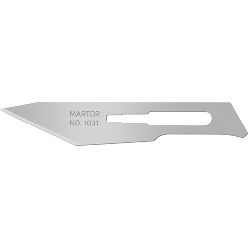 Lame de scalpel no 1031, Style Simple Planification Entrepots Molloy