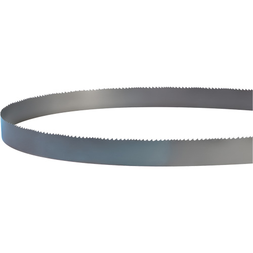 Welded Bandsaw Blade, Bi-Metal, 14' L x 1" W x 4 - 6 TPI Planification Entrepots Molloy